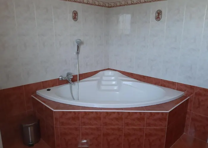 Διαμέρισμα Grzinic Ρόβινι