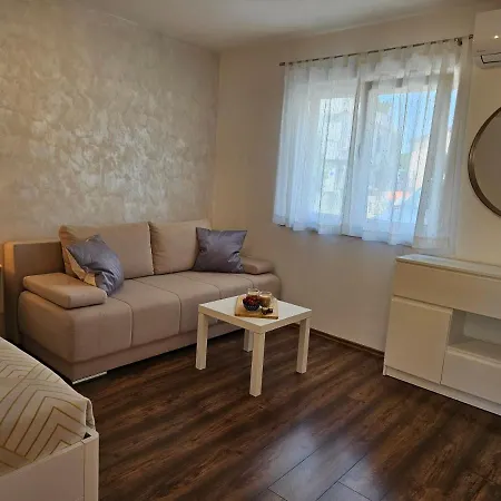 Grzinic Apartment